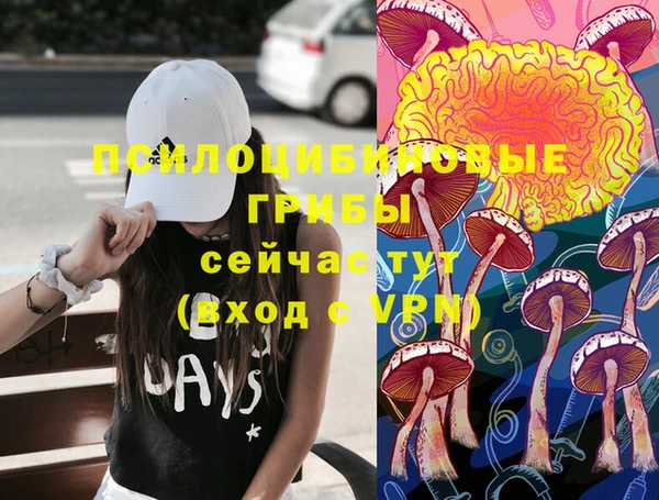 mix Алексин
